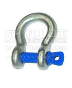 300 1111 Bow Shackle with Screw Collar Pin Grade S  6 1
