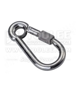 300 6104 Snap Hook with Eyelet and Screw